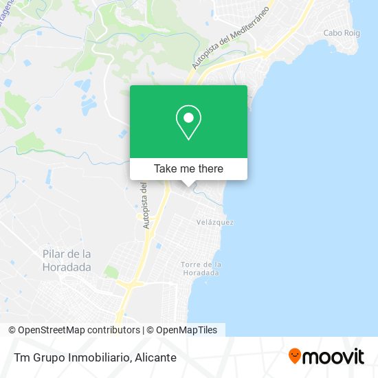 Tm Grupo Inmobiliario map