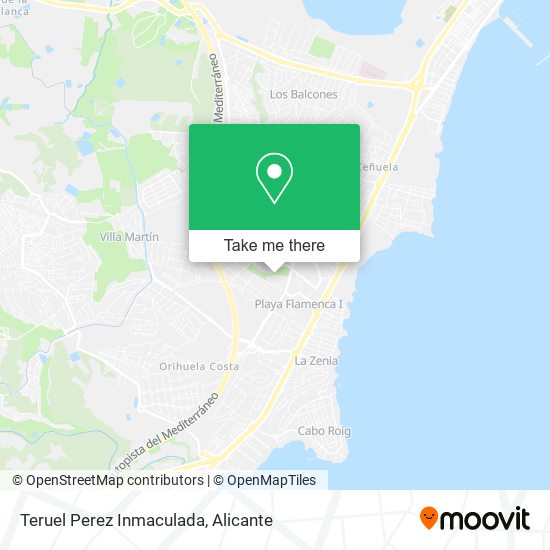 Teruel Perez Inmaculada map