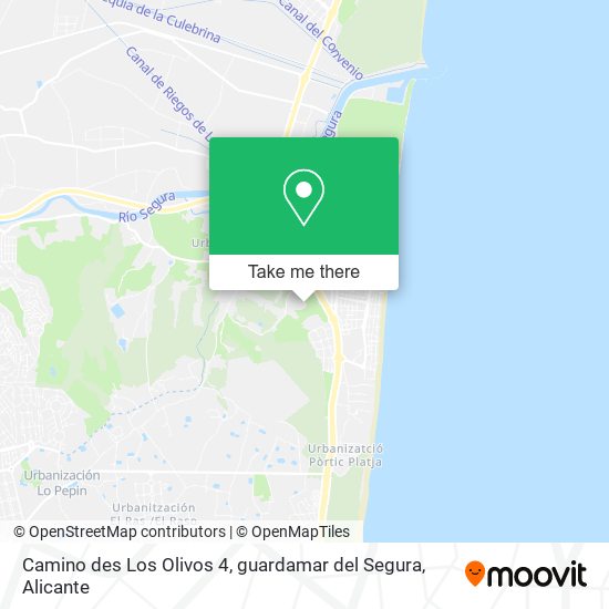 Camino des Los Olivos 4, guardamar del Segura map