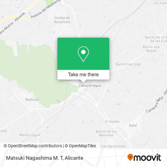 Matsuki Nagashima M. T map