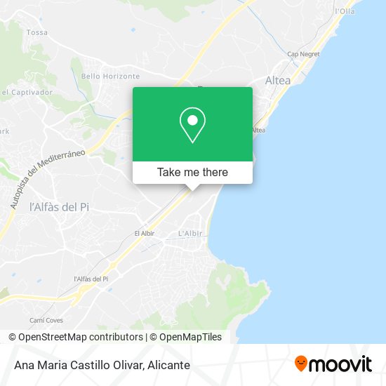 Ana Maria Castillo Olivar map
