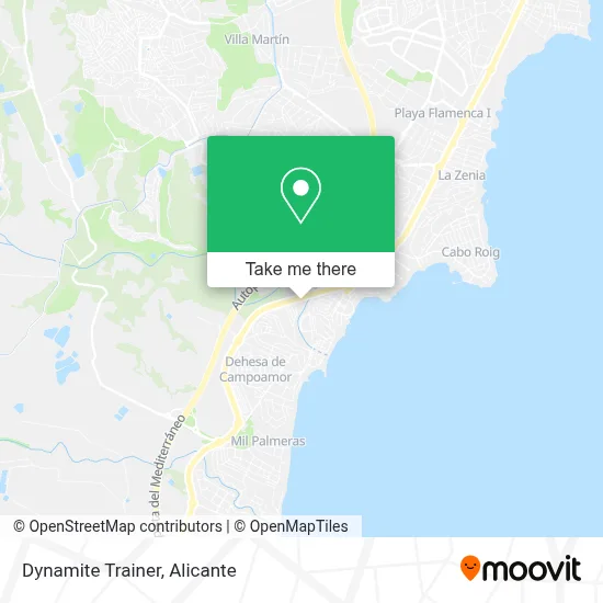 Dynamite Trainer map