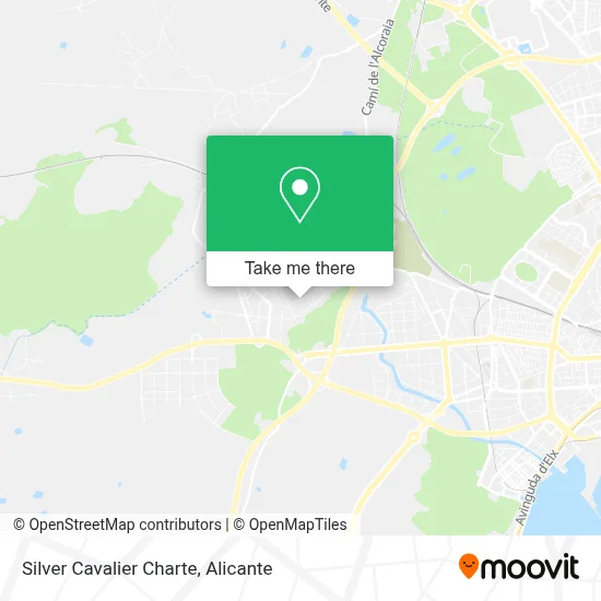 Silver Cavalier Charte map