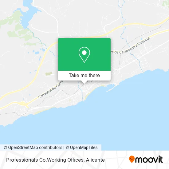 Professionals Co.Working Offices map