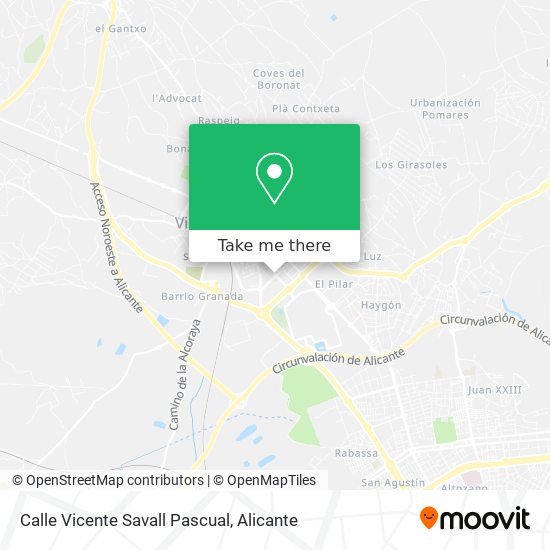 Calle Vicente Savall Pascual map