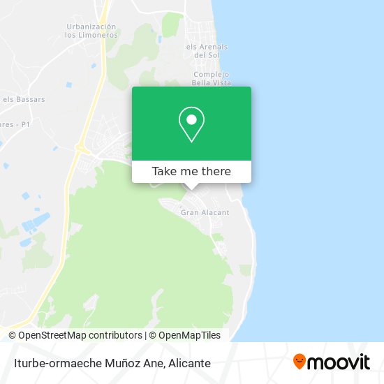 Iturbe-ormaeche Muñoz Ane map