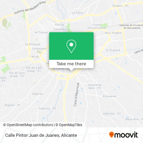 Calle Pintor Juan de Juanes map