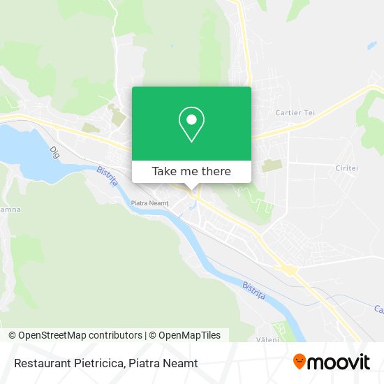 Restaurant Pietricica map