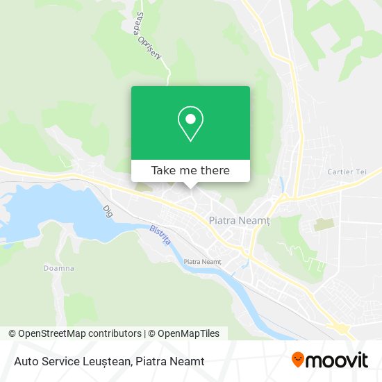 Auto Service Leuștean map