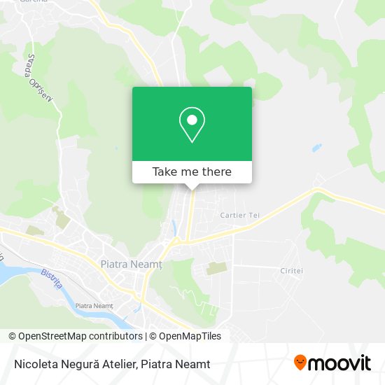 Nicoleta Negură Atelier map