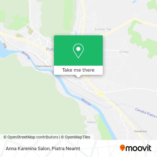 Anna Karenina Salon map