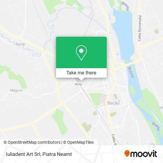 Iuliadent Art Srl map