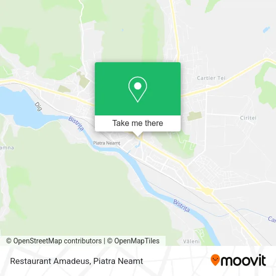 Restaurant Amadeus map