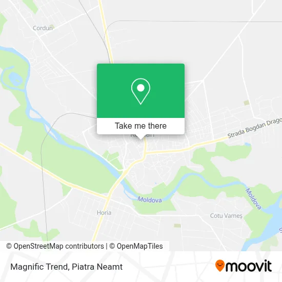 Magnific Trend map