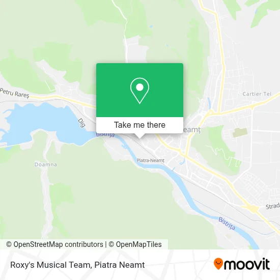 Roxy's Musical Team map