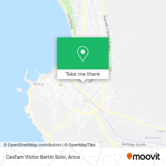 Mapa de Cesfam Víctor Bertín Soto