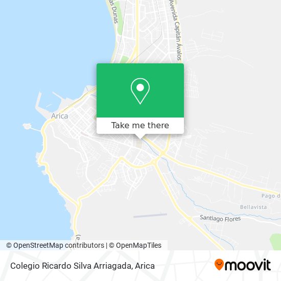 Colegio Ricardo Silva Arriagada map