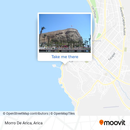 How To Get To Morro De Arica In Arica By Bus Moovit