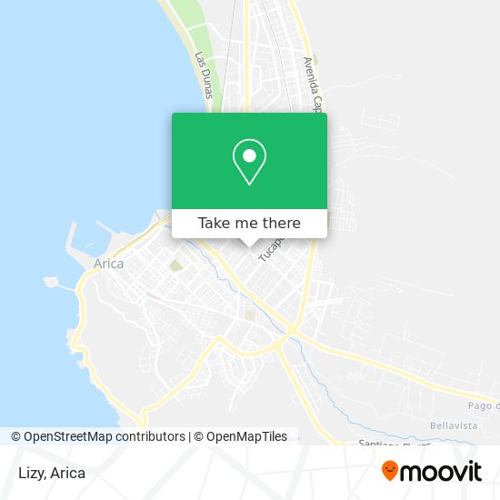 Lizy map