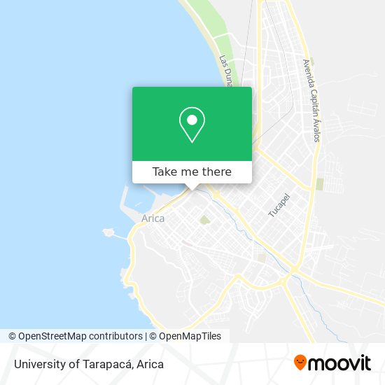University of Tarapacá map