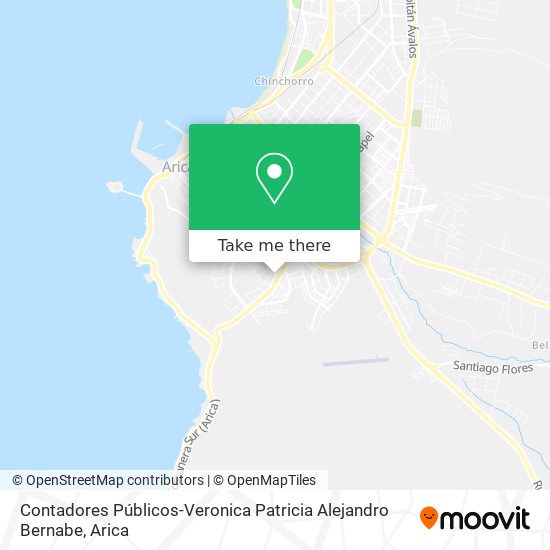 Mapa de Contadores Públicos-Veronica Patricia Alejandro Bernabe