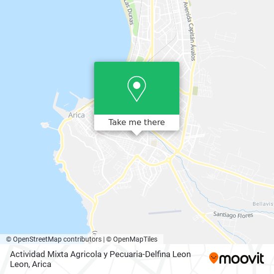 Actividad Mixta Agricola y Pecuaria-Delfina Leon Leon map