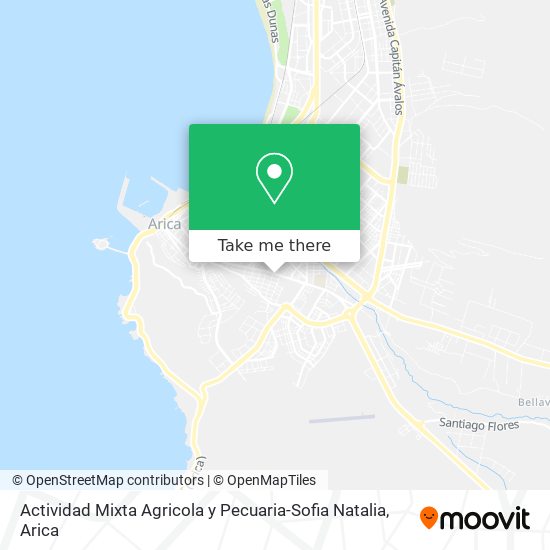 Mapa de Actividad Mixta Agricola y Pecuaria-Sofia Natalia