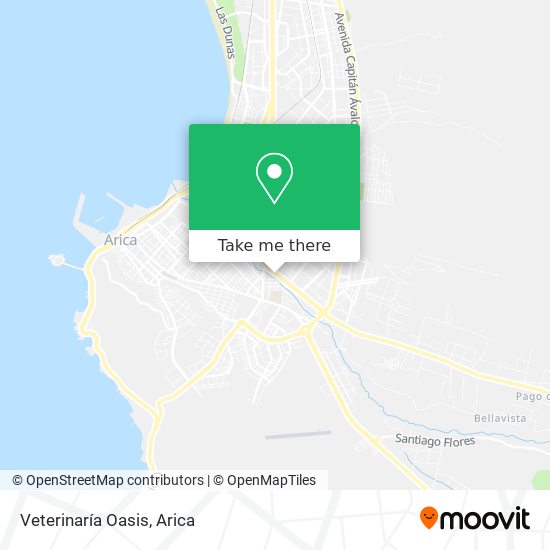 Mapa de Veterinaría Oasis