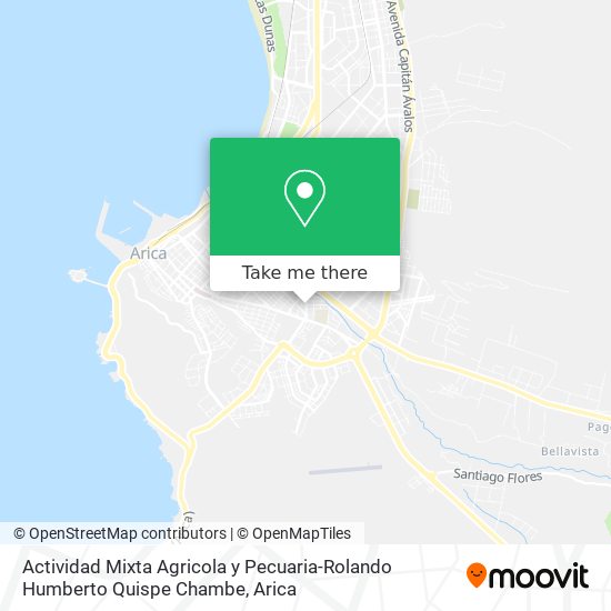 Mapa de Actividad Mixta Agricola y Pecuaria-Rolando Humberto Quispe Chambe