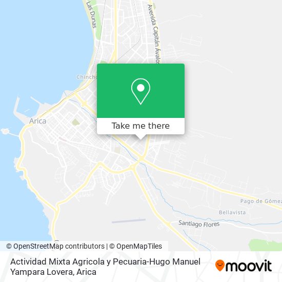 Mapa de Actividad Mixta Agricola y Pecuaria-Hugo Manuel Yampara Lovera