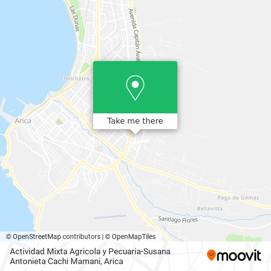 Actividad Mixta Agricola y Pecuaria-Susana Antonieta Cachi Mamani map