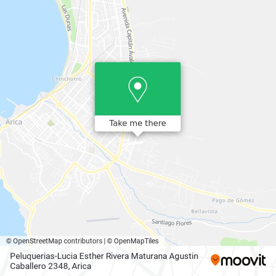 Mapa de Peluquerias-Lucia Esther Rivera Maturana Agustin Caballero 2348