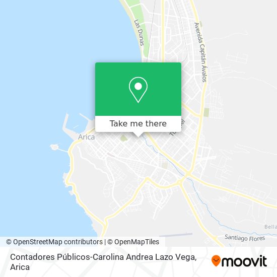 Mapa de Contadores Públicos-Carolina Andrea Lazo Vega
