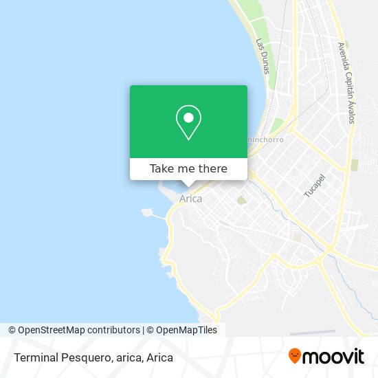 Mapa de Terminal Pesquero, arica