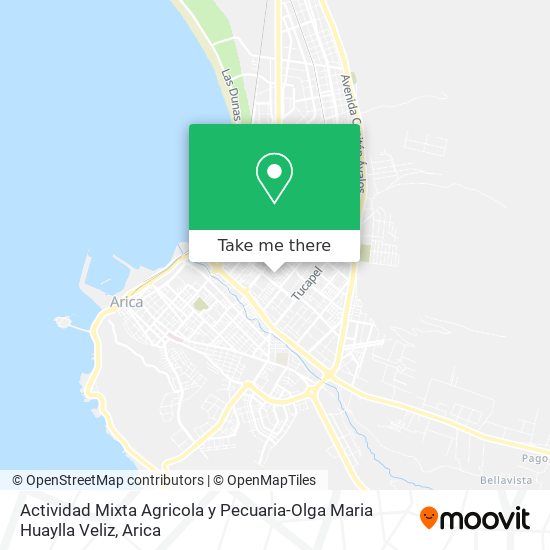 Actividad Mixta Agricola y Pecuaria-Olga Maria Huaylla Veliz map