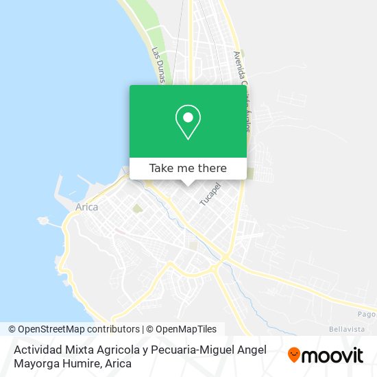 Actividad Mixta Agricola y Pecuaria-Miguel Angel Mayorga Humire map
