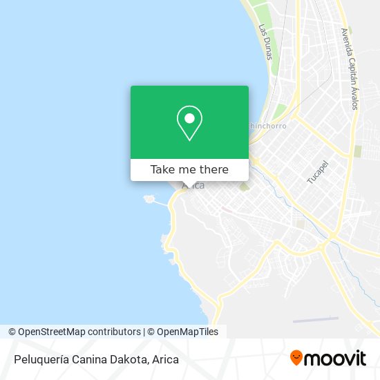 Mapa de Peluquería Canina Dakota