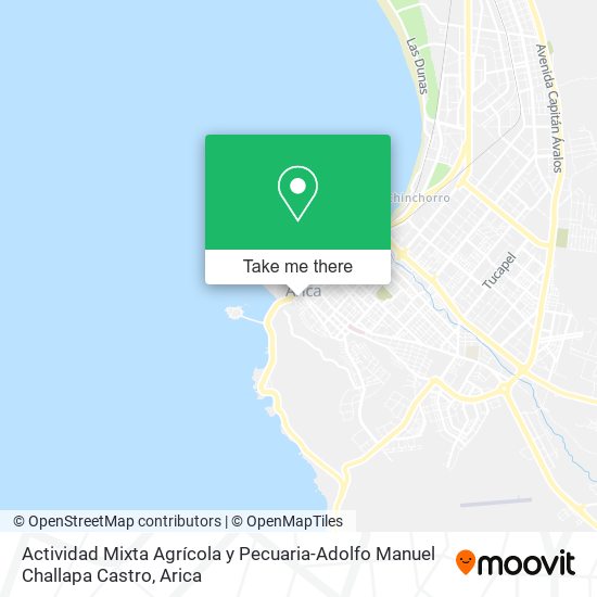 Actividad Mixta Agrícola y Pecuaria-Adolfo Manuel Challapa Castro map