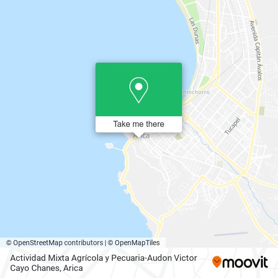 Actividad Mixta Agrícola y Pecuaria-Audon Victor Cayo Chanes map