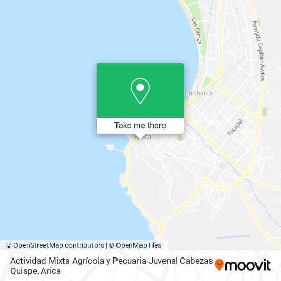 Actividad Mixta Agrícola y Pecuaria-Juvenal Cabezas Quispe map