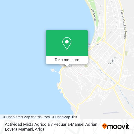 Mapa de Actividad Mixta Agricola y Pecuaria-Manuel Adrián Lovera Mamani