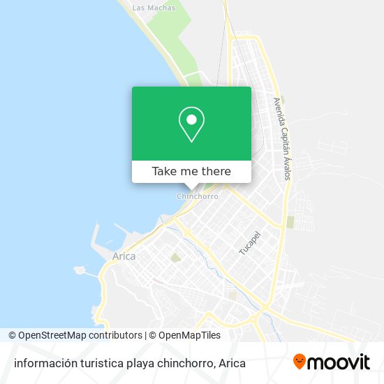 información turistica playa chinchorro map