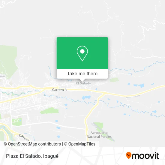 Plaza El Salado map