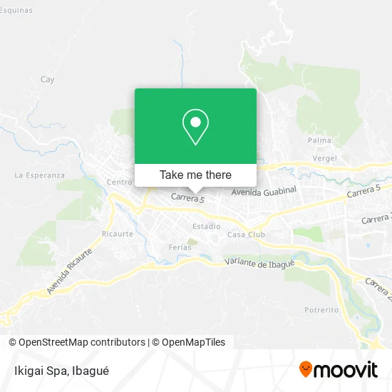 Mapa de Ikigai Spa
