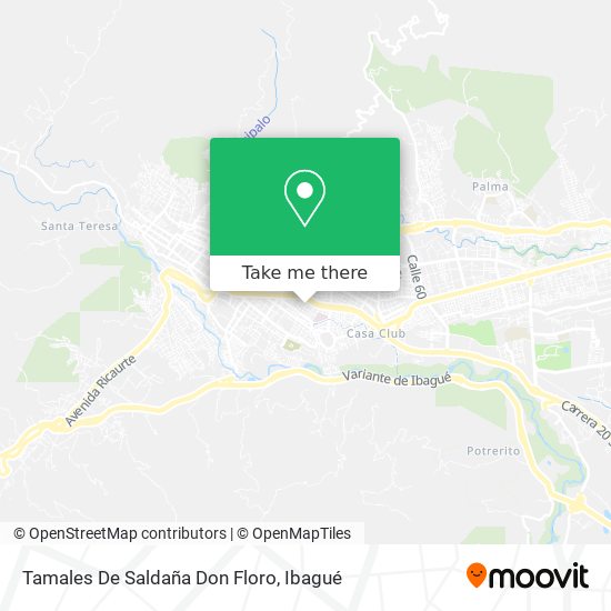 Tamales De Saldaña Don Floro map