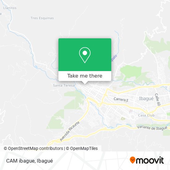 CAM ibague map