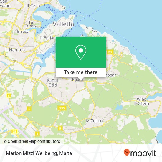 Marion Mizzi Wellbeing map