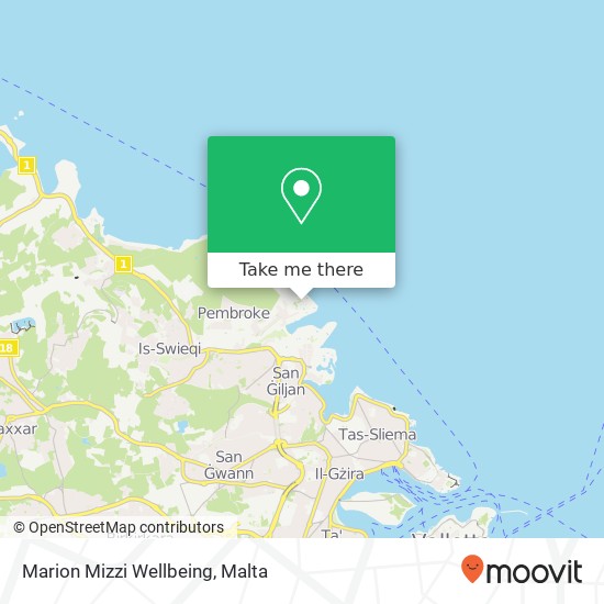 Marion Mizzi Wellbeing map