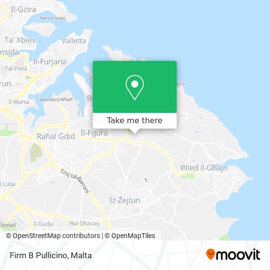Firm B Pullicino map
