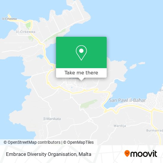 Embrace Diversity Organisation map